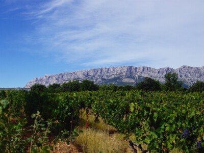 Parc Naturel régionale de la Sainte-Baume